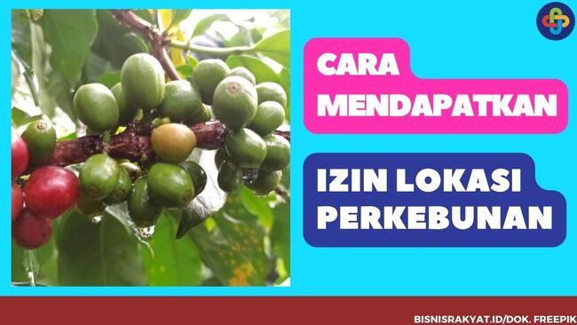 Cara Mendapatkan Izin Lokasi Perkebunan